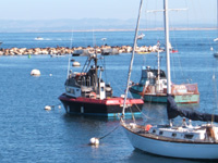 e0057740_9241414.jpg