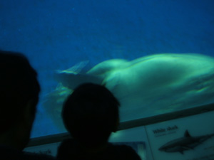 e0057740_9264533.jpg