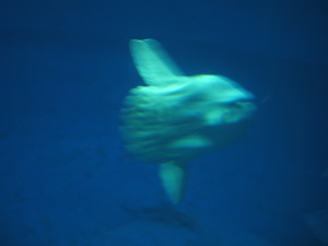 e0057740_9265791.jpg