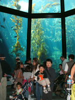 e0057740_927759.jpg
