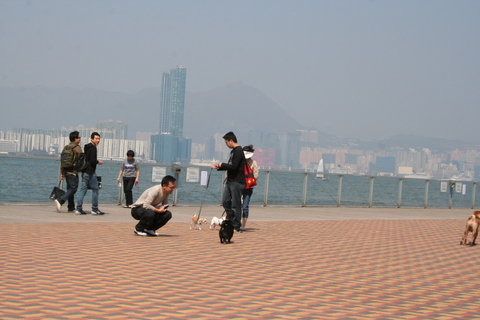 e0018143_15171.jpg