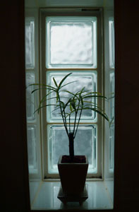 c0131544_16551150.jpg