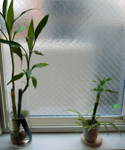 c0131544_16554775.jpg