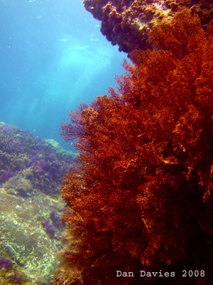 e0027447_19522033.jpg