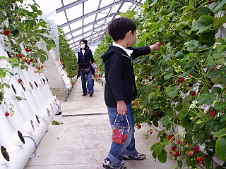 c0123149_1563452.jpg