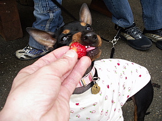 c0123149_262494.jpg