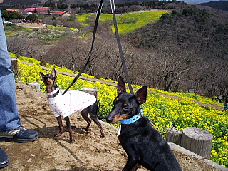 c0123149_28118.jpg
