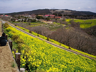 c0123149_29228.jpg