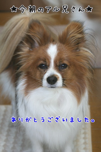 d0013149_10263719.jpg