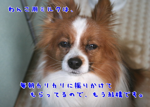 d0013149_10362581.jpg
