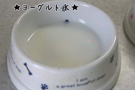 d0013149_10385421.jpg