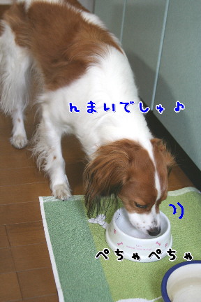 d0013149_10461631.jpg