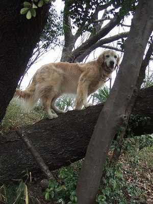 c0097558_2144030.jpg