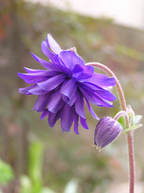 f0074659_2374634.jpg