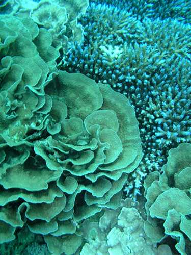 b0062363_2037213.jpg