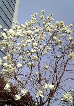 c0102268_21212634.jpg