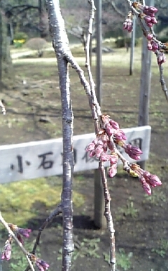 c0102268_21231194.jpg