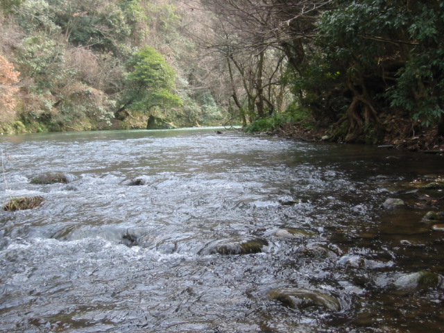 d0094868_1045449.jpg