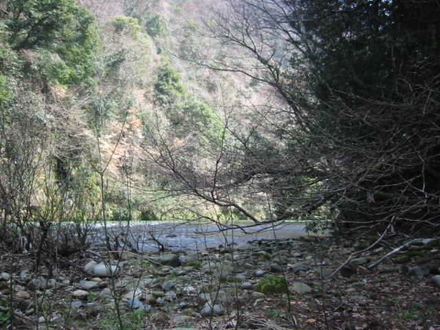 d0094868_10464513.jpg