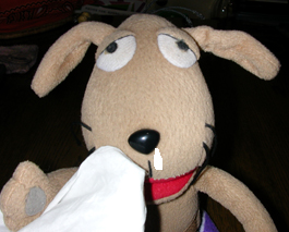 c0158573_1843890.jpg
