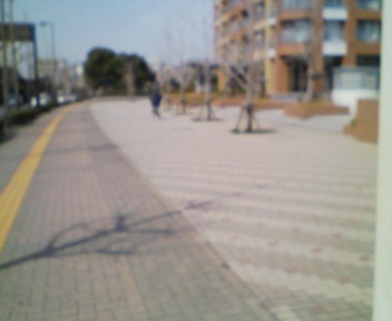 f0153479_11434100.jpg
