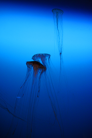 e0027083_23513228.jpg