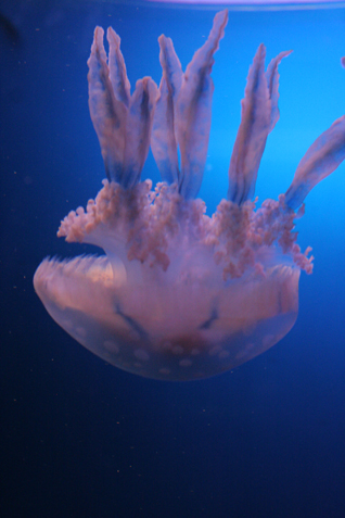 e0027083_23573981.jpg