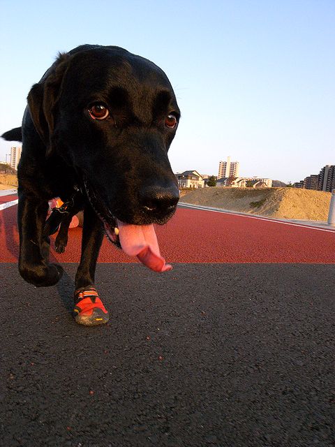 a0093592_0131074.jpg
