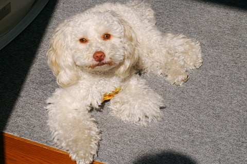 b0104592_1651071.jpg
