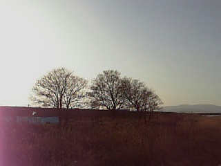 e0111793_21453629.jpg