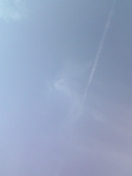 e0122194_812417.jpg