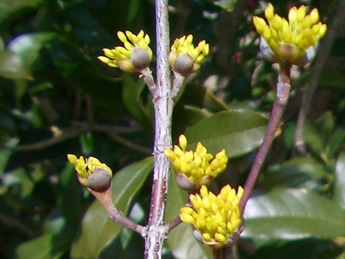 d0069498_1713178.jpg