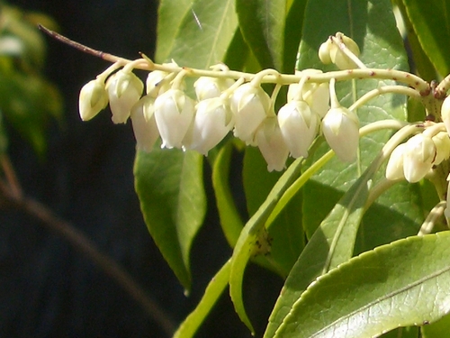 d0069498_17144348.jpg
