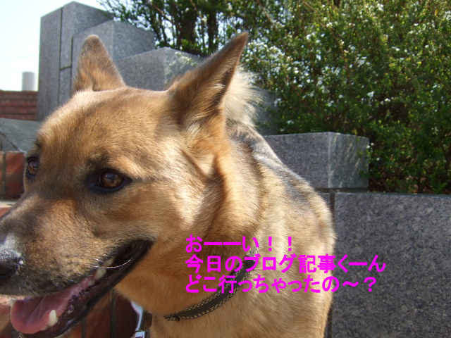 b0087400_0504346.jpg