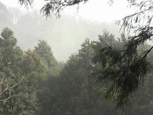 b0116703_6262250.jpg