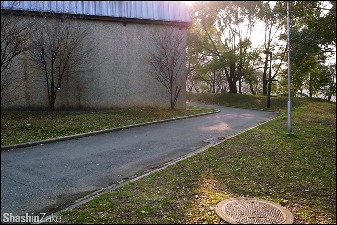 c0102003_1742472.jpg
