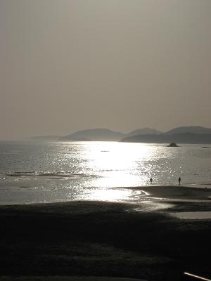 d0138203_11572844.jpg