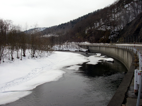 d0051707_14273954.jpg