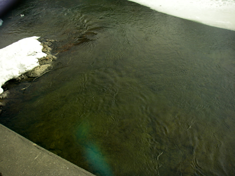 d0051707_1430166.jpg