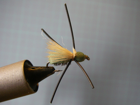 d0051707_961430.jpg