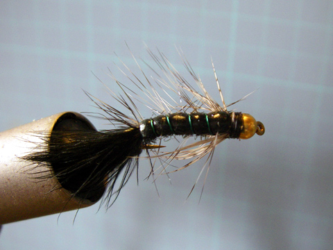 d0051707_98319.jpg
