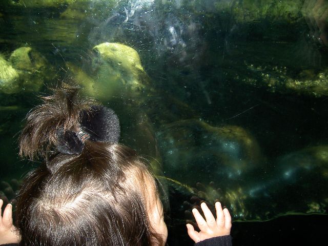 d0135508_2311138.jpg