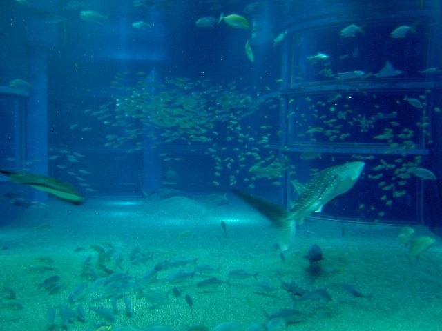 d0135508_235281.jpg