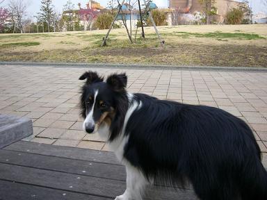 e0130008_15521299.jpg