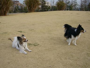 e0130008_1623435.jpg