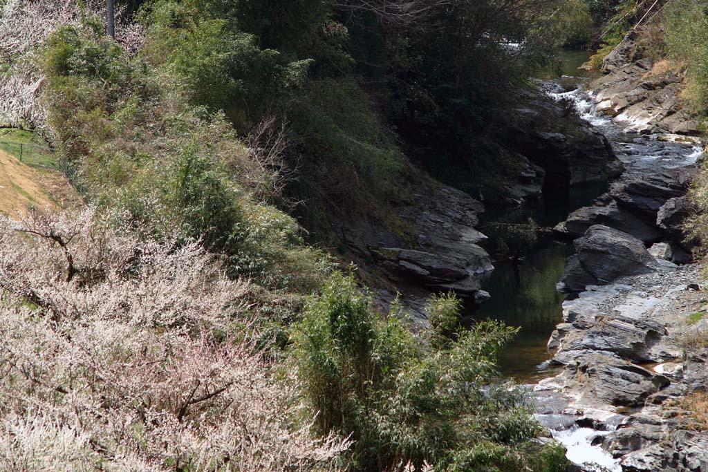 d0085715_23555963.jpg