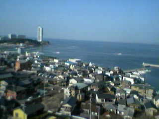 d0130923_1974768.jpg