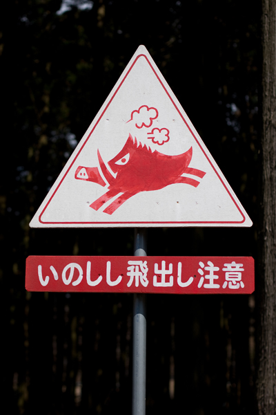 f0136227_112233.jpg