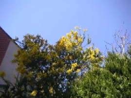b0116933_20373253.jpg