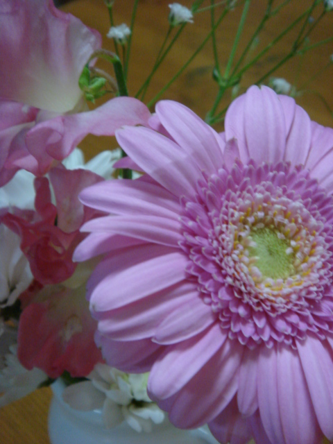 c0100534_21361278.jpg